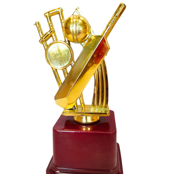 cricket trophy.