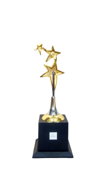 star trophy for performance,.