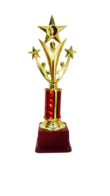 Star trophy for Achievement