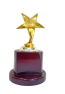 star trophy