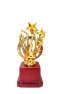 Cricket trophy with star and wicket style. Best cricket trophy In Ahmadabad Gujarat India. cricket trophy for winner, runner up, man of match