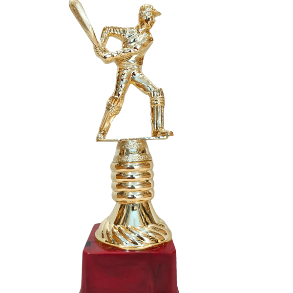 Batsman Cricket Trophy. Best Cricket Trophy in big size. Gift centre- btc-501- 10’Inch
