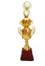 big size cup trophy.