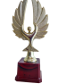 best trophy Award