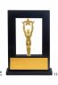 Oscar Star Trophy- New window Oscar star trophy stales trophy- Best trophy award shop in Ahmadabad. giftcentre Ahmadabad. performance trophy.